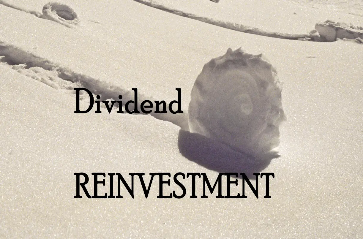 Times To Stop Dividend Reinvestment