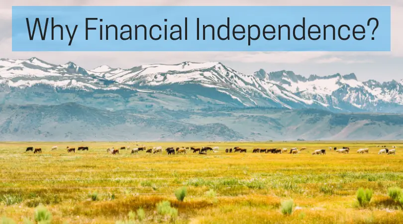 Why Financial Independence