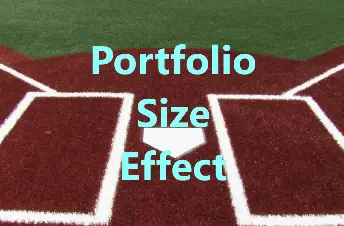 portfolio size effect