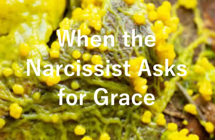 When the Narcissist Asks for Grace